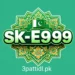 sk e999